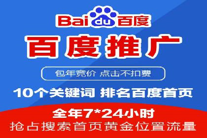 百度推广实战：成功企业的营销策略